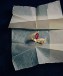 The Erix Ring